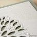 Хризантема/Chrysanthemum